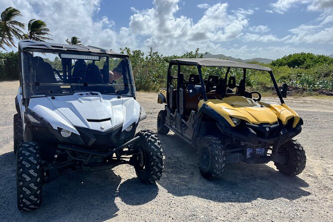 4 Seater Buggy Rental in Sint Maarten - Price and Value: $300 Per Group Can Be Either a Deal or a Split