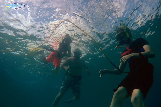 Adventure SNUBA in St. Maarten - The SNUBA setup: shallow limits, shared-air logistics, and hose reality