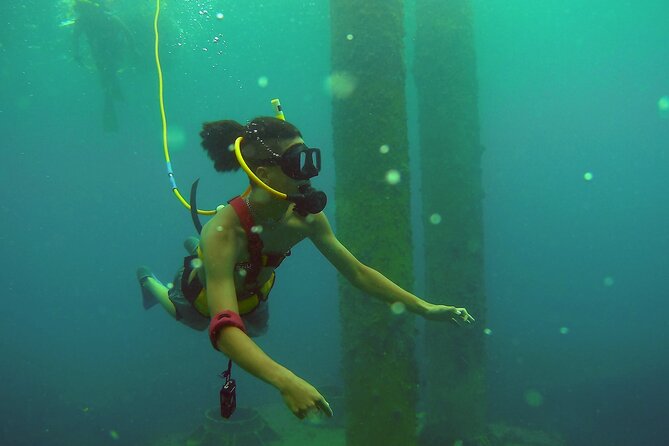 Adventure SNUBA in St. Maarten - Marine life viewing with commentary (not just fish spotting)