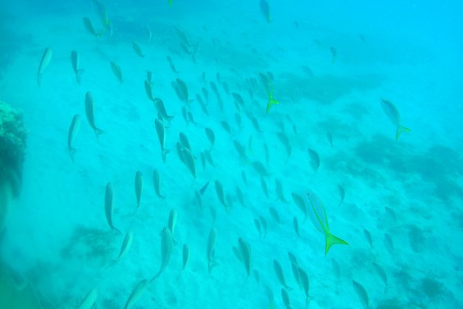 Adventure SNUBA in St. Maarten - Safety approach and why beginners feel “handled,” not pressured