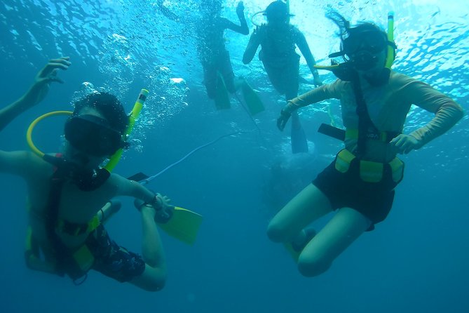 Adventure SNUBA in St. Maarten - Price and value: $110 for gear, teaching, and a real underwater window