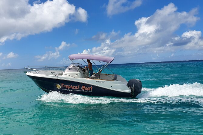 Boat rental To go by yourself CAP CAMARAT - Half-day versus full-day: picking the right amount of water time