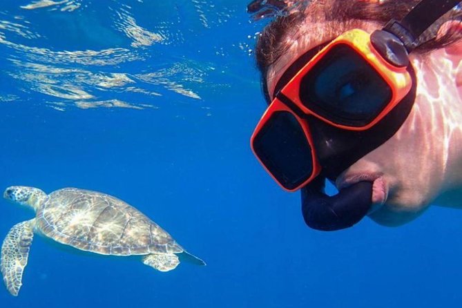 CAPTAIN ALAN'S 4hr -3 Islands-snorkeling-turtles-beach ADVENTURE - Getting to the Meeting Point Without Stress