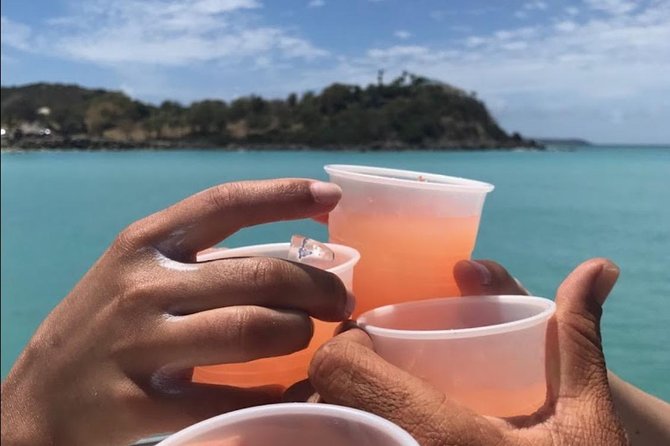 CAPTAIN ALAN'S 4hr -3 Islands-snorkeling-turtles-beach ADVENTURE - Stop 1: Tintamarre Island for Turtles, Underwater Life, and Beach Reset