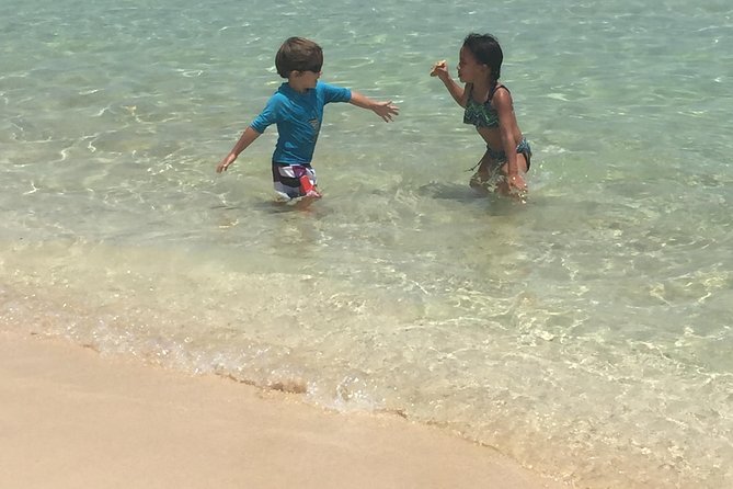 CAPTAIN ALAN'S 4hr -3 Islands-snorkeling-turtles-beach ADVENTURE - Stop 2: Creole Rock or Greenkey Snorkeling on the St. Maarten Side