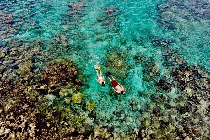 Captain Bob Speed Boat, Snorkeling, Beach Tour & Lunch St Maarten - Key things that make this Captain Bob tour worth your time