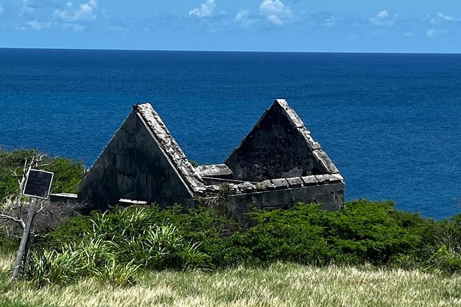 Celeb Island Adventure Tour - St Maarten in 4 hours: price, timing, and what you really get