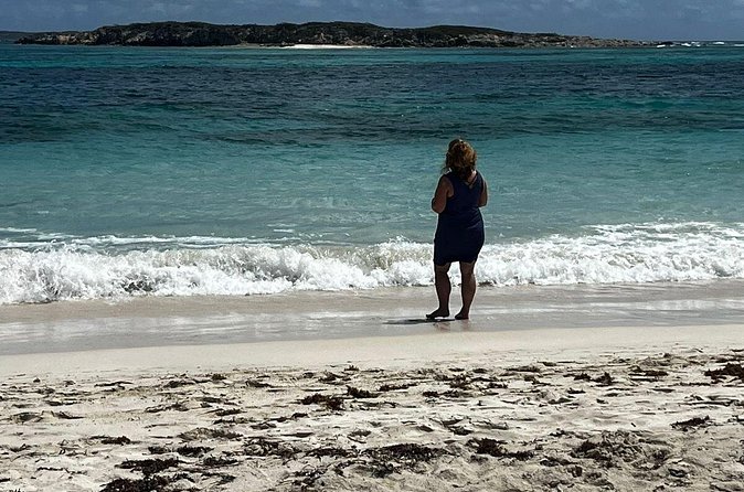 Celeb Island Adventure Tour - Marigot time for pastries and shopping: what to do with your free window