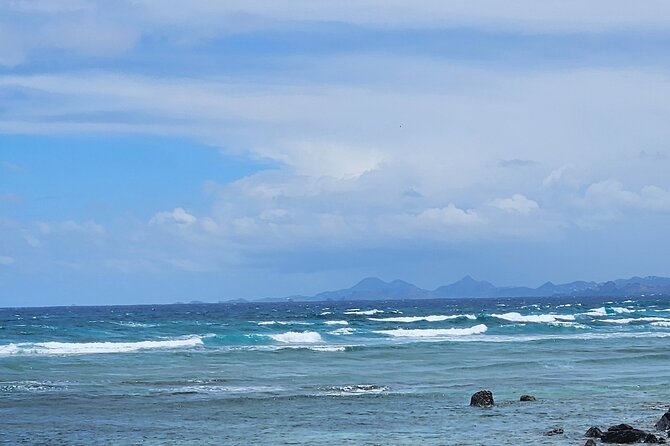 Celebrity Island Adventure Tours - Price and Logistics for a 5-Hour Dutch-French Day