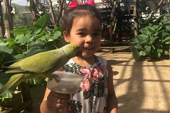 Colorful Species Of Birds - Why this Philipsburg bird park tour works on short time