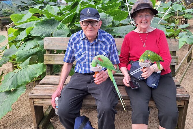 Colorful Species Of Birds - Meet the species: conures, caiques, and ring-neck parakeets