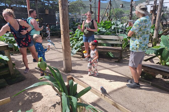Colorful Species Of Birds - Price and value: what $49 gets you (and why it’s not just a ticket)