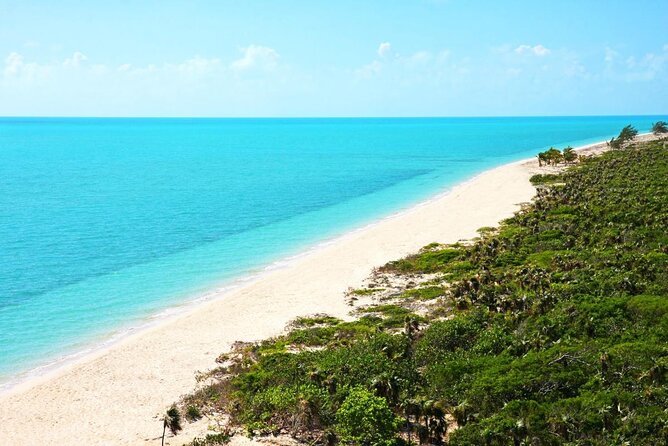Cristal Half Day Friendly Island Snorkeling Tour - Small-group feel with a helpful guide: what the top scores point to