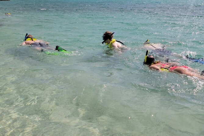 Cristal Speed boat, Snorkeling, Beach Tour & Lunch St Maarten - Cristal Speed Boat in St Maarten: What You Get in Six Hours