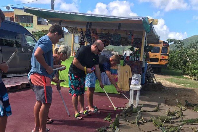 FUN DAY St.Maarten Island Sightseeing Tour with Beach - A Dutch-and-French St Maarten Day Built Around Beaches and Planes