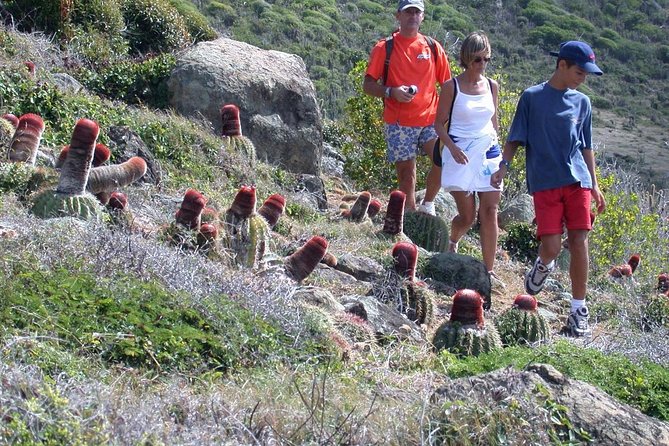Guana Bay Coastal Hike - Guana Bay to Geneve Bay: why this hike beats another beach day