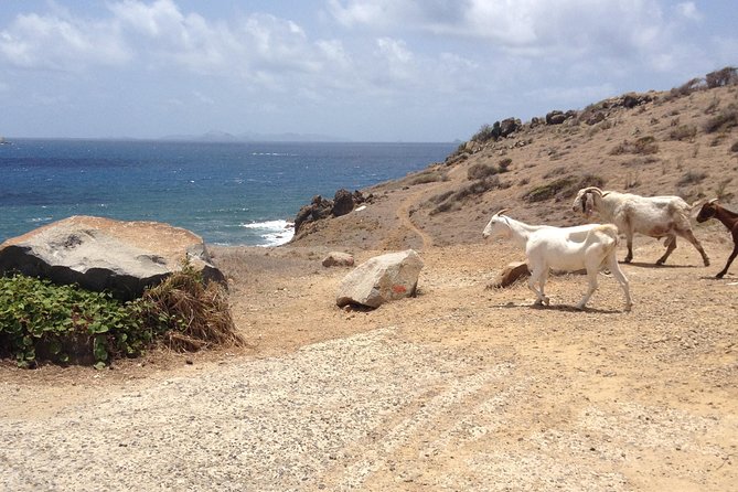 Guana Bay Coastal Hike - The walk itself: what you’ll do from start to finish