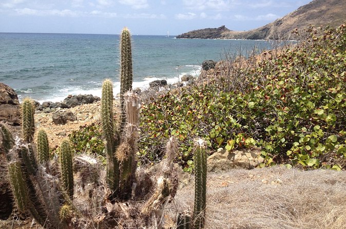 Guana Bay Coastal Hike - Terrain and comfort: how to judge if it fits your body