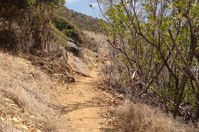 Guana Bay Coastal Hike - Who this hike is best for (and who should skip it)