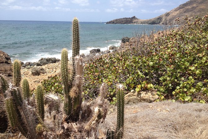 Guana Bay Coastal Hike - What the guided format changes (and why it matters)