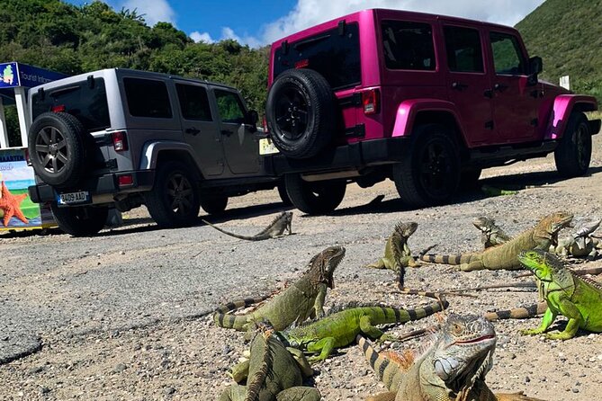 Guided Jeep Tour Exploring French and Dutch St Maarten - Airport Pass-By: Watching PJIA Planes From the Island Side