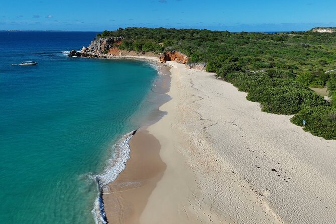 Half day snorkeling tour to Tintamarre islet - Creole Rock snorkeling: your first real look under the surface