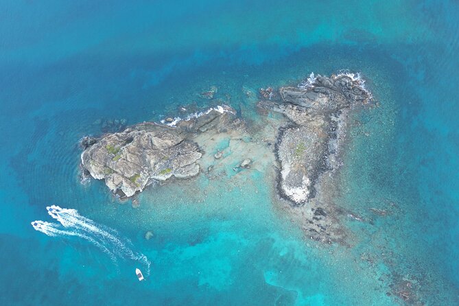 Half day snorkeling tour to Tintamarre islet - Meeting at Marigot: plan to be on time, not late