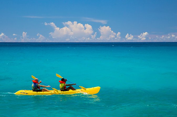Kayak Lagoon Tour - The brief rest stop: where learning happens without turning into a lecture