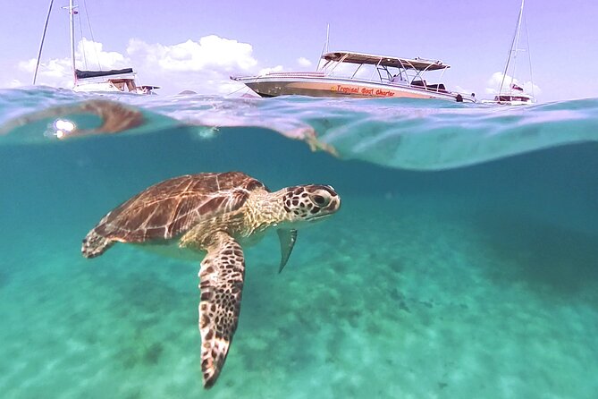 Private Boat Charter Saint Martin & natural reserve - Pinel Island (2 Hours): Lunch Island Vibes and a Real Break