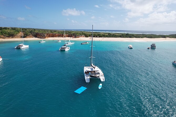Private Catamaran Excursion to Sint Maarten with Snorkeling - Who this Tintamarre catamaran excursion suits best