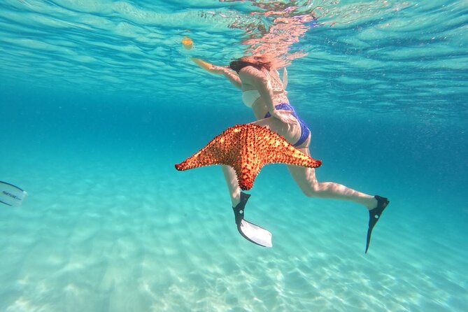 Private Full Day Boat Tour in St-Maarten - Stop 1: Tintamarre Island snorkeling with sea turtles