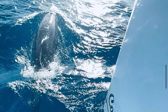 Private Full Day Boat Tour in St-Maarten - What the itinerary timing feels like in real life