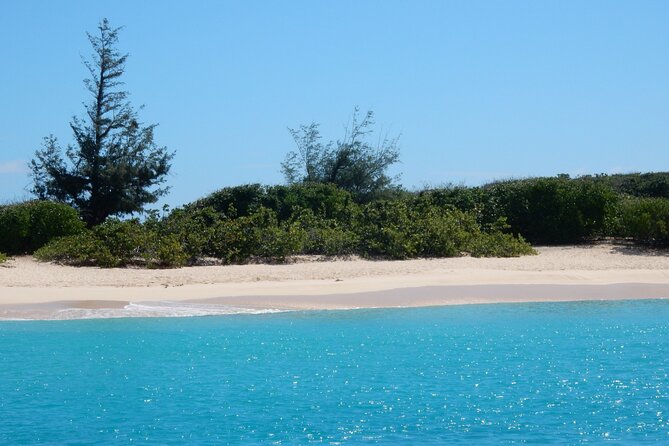 Private Full-Day Catamaran Sailing Charter in St Maarten - Tintamarre Island: the beach, the swim, and turtle chances