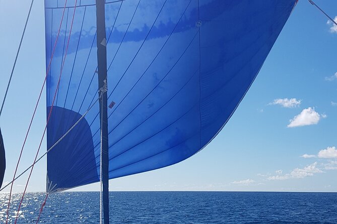 Private Full-Day Catamaran Sailing Charter in St Maarten - Food and drink: open bar energy plus a real hot lunch
