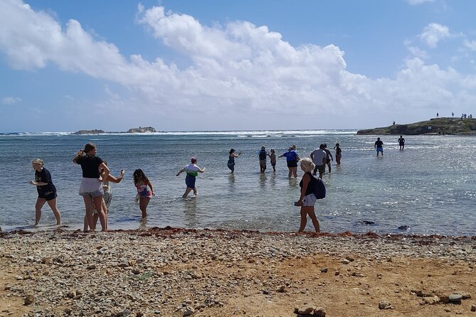 Private Island Tour in St. Maarten - Key things to know before you go