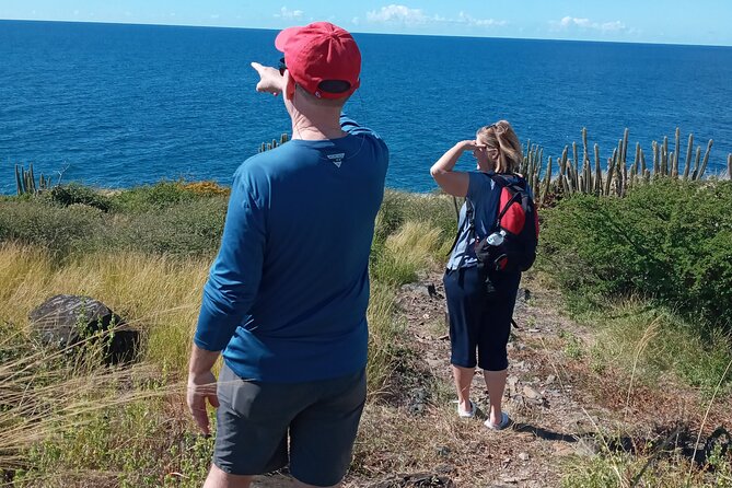 Private Island Tour in St. Maarten - Cole Bay viewpoints: the 15-minute photo break that matters