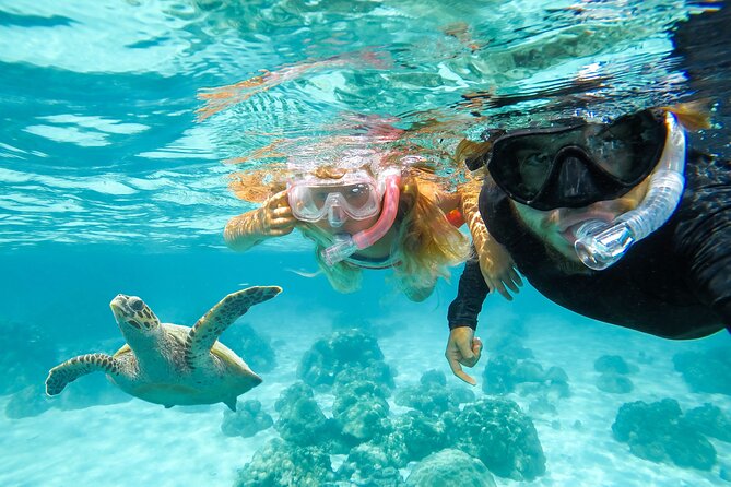 Private Speed Boat Charter in St Maarten & Nature Reserve - Stop 1: Cole Bay and the Simpson Bay lagoon cruise