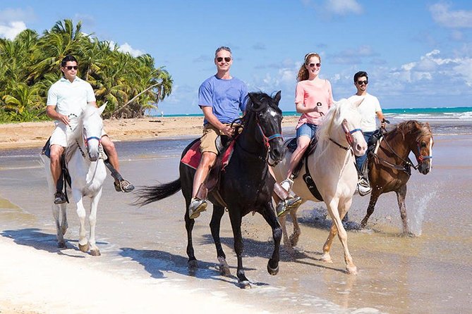 Private V.I.P sightseeing, Shopping and Beach Tour - Private group comfort: why up to 10 people feels different