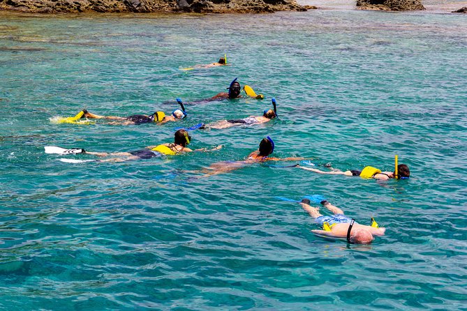 Sand Dollar Half Day Snorkel Trip - Who should book this Sand Dollar half-day, and who should skip it