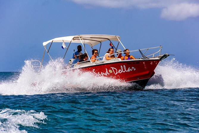 Sand Dollar Half Day Snorkel Trip - Should you book the Sand Dollar Half Day Snorkel Trip?