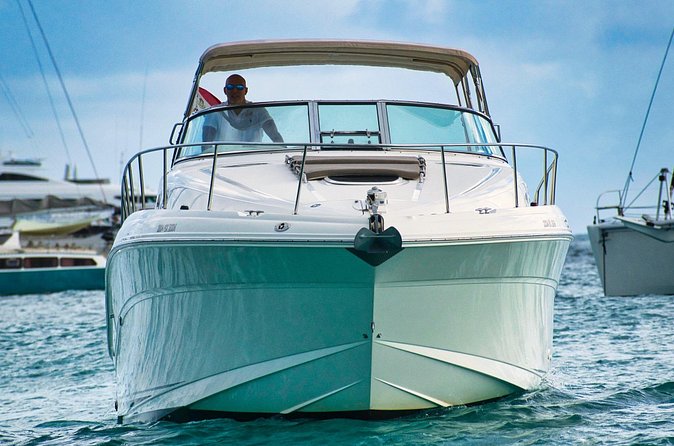 Sea Ray Sundancer Luxury Private Boat Charter - Snorkeling gear and open bar: the combo that makes the day feel effortless