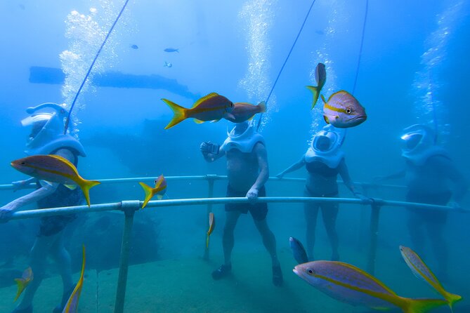 SeaTrek Tour St. Maarten - Safety, Support, and the Conditions That Matter