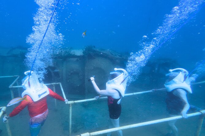 SeaTrek Tour St. Maarten - Price and Value: What You Get for $109.65