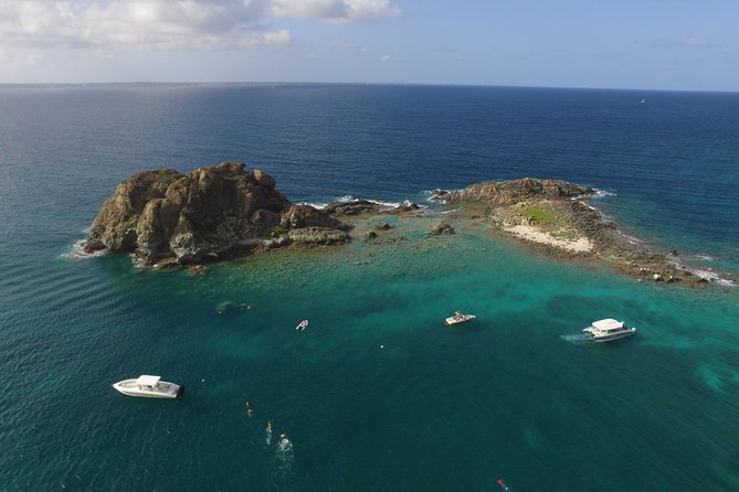 Speed Boat & Snorkeling Tour Pinel & Tintamarre Islands for CRUISE SHIP GUESTS - Tintamarre Island: Sea Turtles in a Protected Reserve
