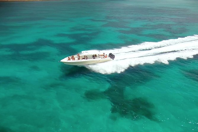 Speed Boat & Snorkeling Tour Pinel & Tintamarre Islands for CRUISE SHIP GUESTS - La Samanna, Fish Feeding, and the Yacht-Lined Caribbean View