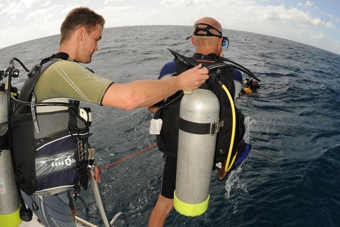 St Maarten Discover Scuba - The real draw: an intro to scuba that still feels like the point