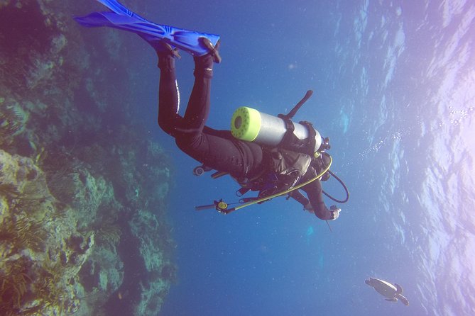 St Maarten Discover Scuba - What happens before you go in: video, briefing, and gear help