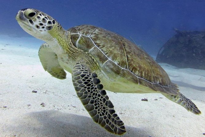 St Maarten Discover Scuba - The shallow wreck plan off Divi Little Bay (about 30 feet / 9 meters)