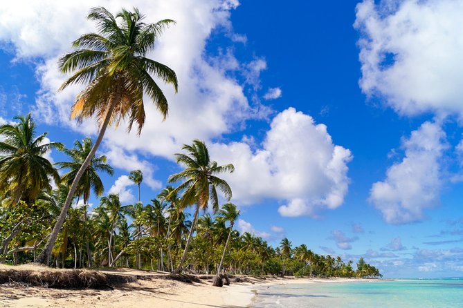 St Maarten Half-Day Trip to Orient and Maho Beach - Orient and Maho in 5 hours: why this pairing works