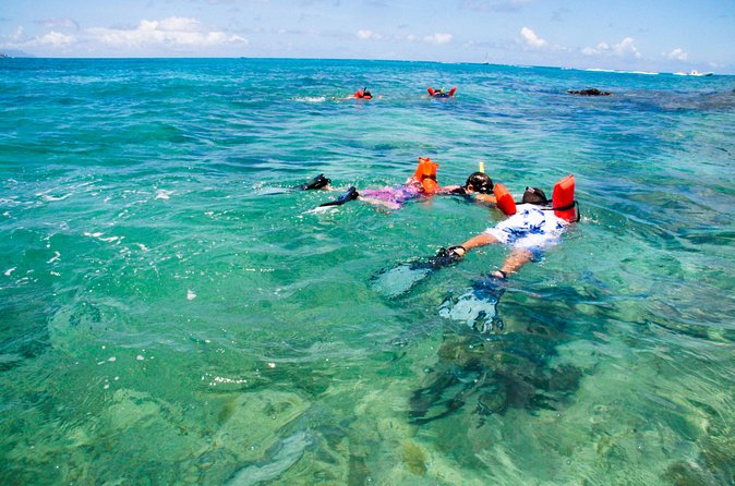 St Maarten Kayak and Snorkel Adventure in Simpson Bay - Greenhouse Restaurant: drink, debrief, and marine-life context